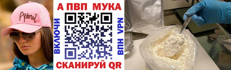 Alfa_PVP СК Ачхой-Мартан