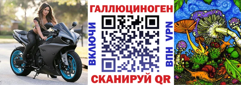 закладки  Ачхой-Мартан  Галлюциногенные грибы MAGIC MUSHROOMS 